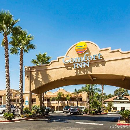 Comfort Inn & Suites Moreno Valley Near March Air Reserve Base Eksteriør billede